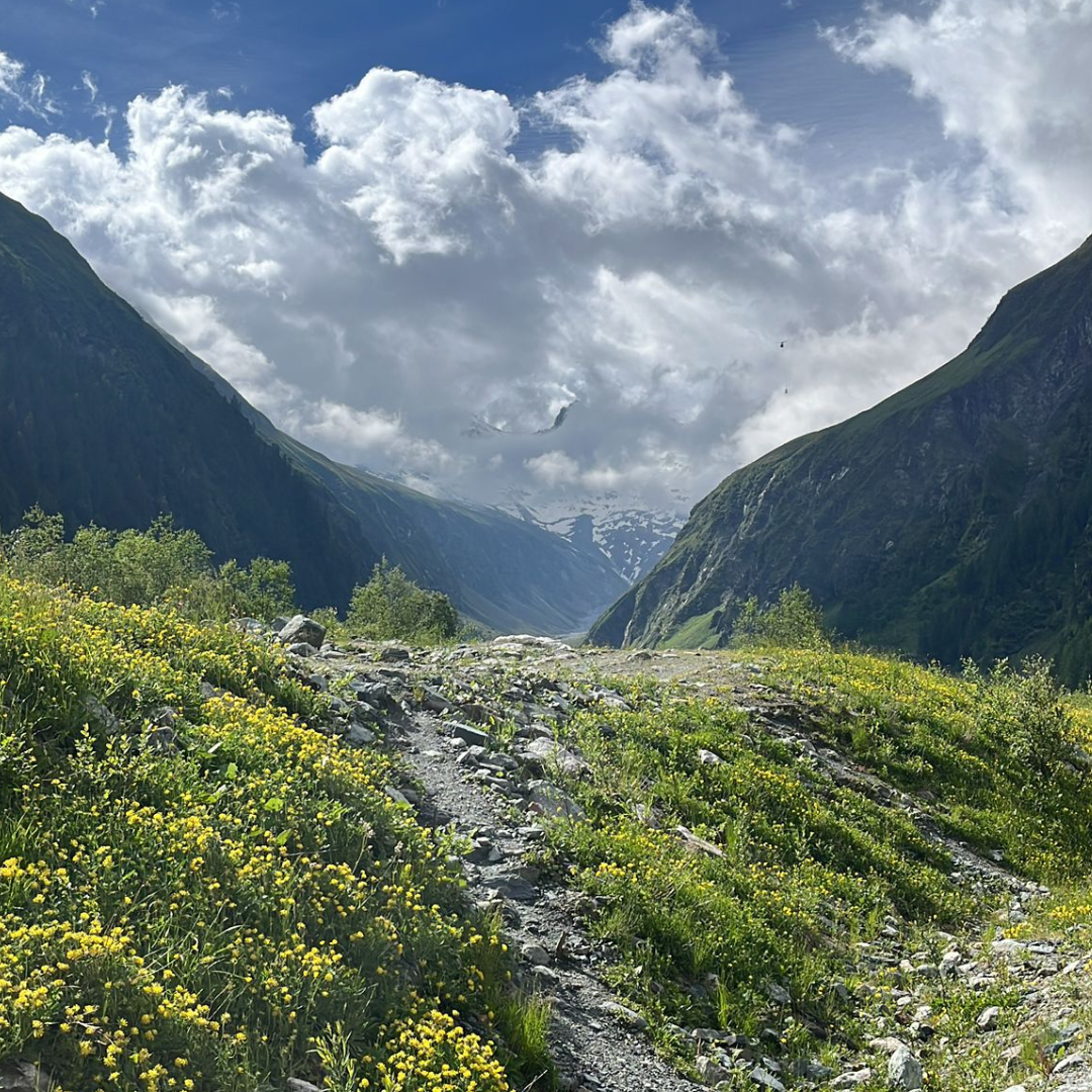Neuen Thüringer Hütte