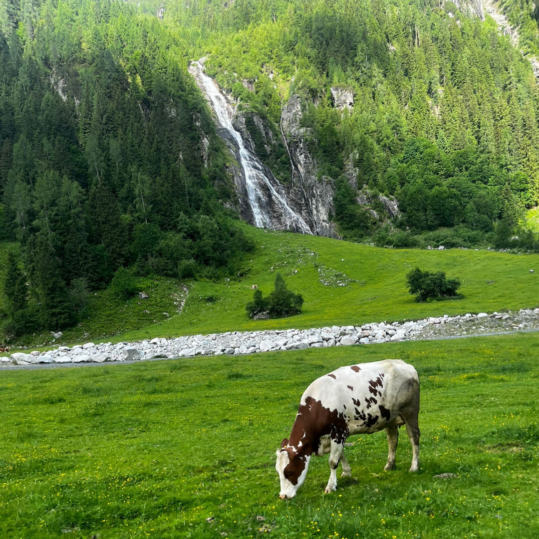 Neuen Thüringer Hütte